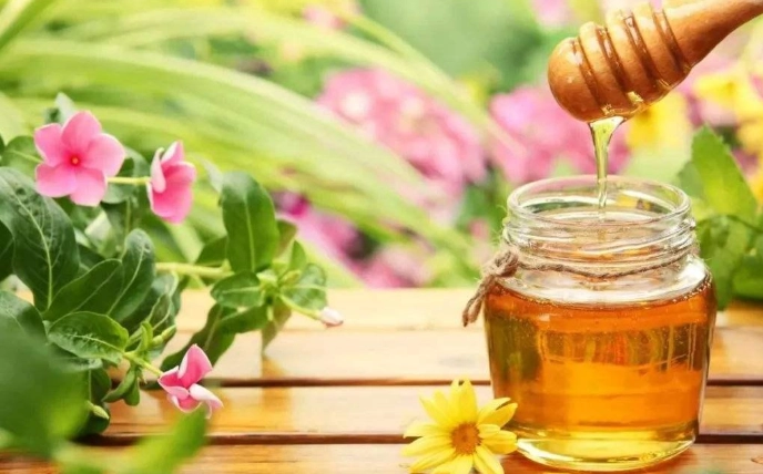 天然胃食道逆流療法