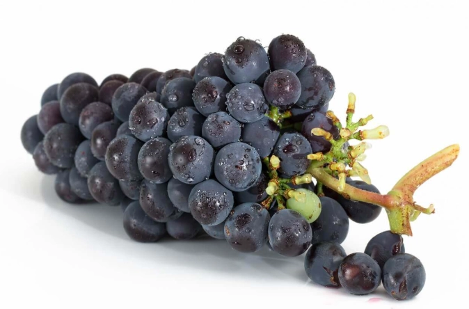 補血食物推薦 補血食物推薦