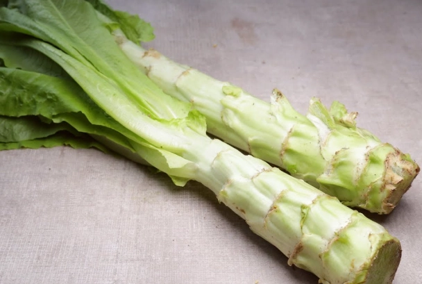 萵筍季節 台灣 萵筍季節 台灣