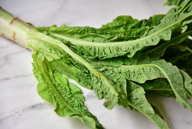 萵筍怎麼挑 萵筍怎麼挑