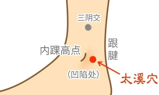 太溪穴功效 太溪穴功效
