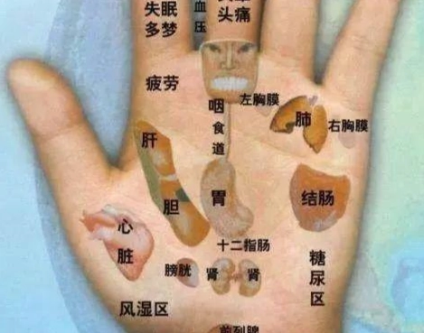 手掌穴位按摩 手掌穴位按摩