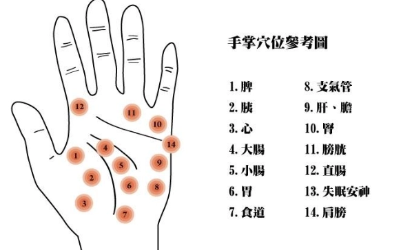 手掌穴位按摩 手掌穴位按摩