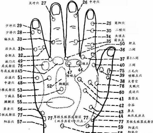 腎臟穴道按摩 腎臟穴道按摩