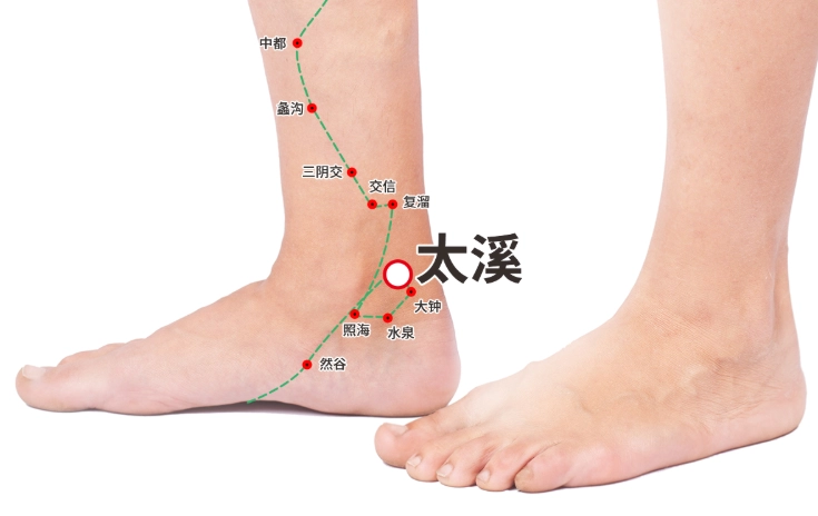 太溪穴位置 太溪穴位置