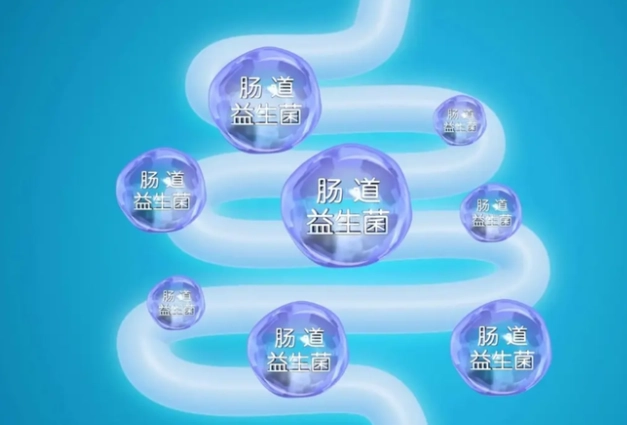 益生菌 服用時間 益生菌 服用時間