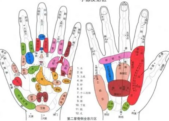 腎臟穴道按摩 腎臟穴道按摩