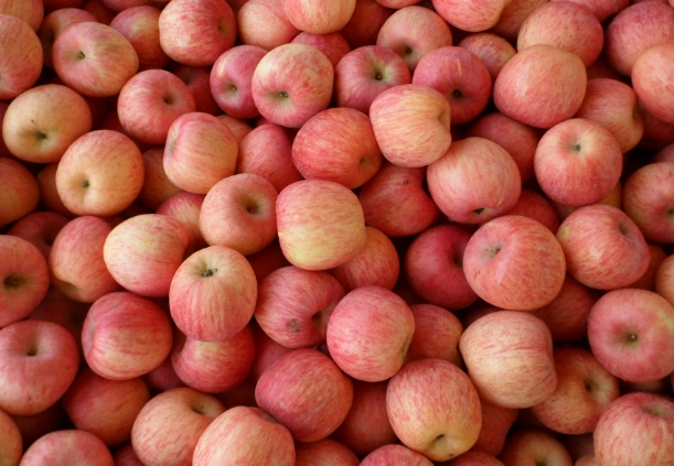 胃食道逆流 蘋果