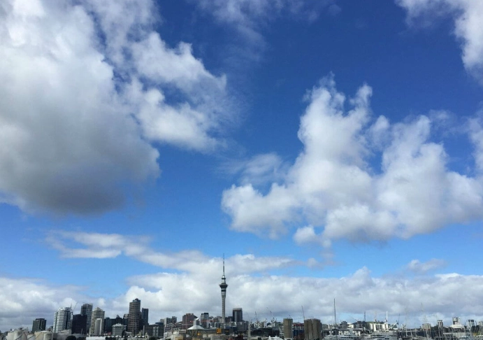 紐西蘭駕照考試