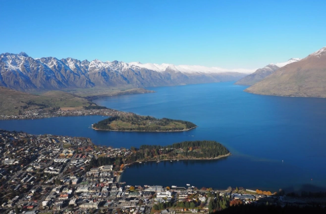 紐西蘭入境卡填寫