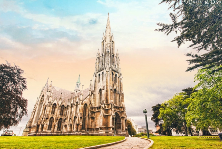 紐西蘭海關禁止物品