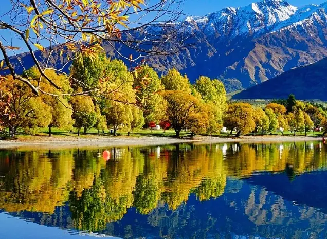 紐西蘭入境卡填寫範例