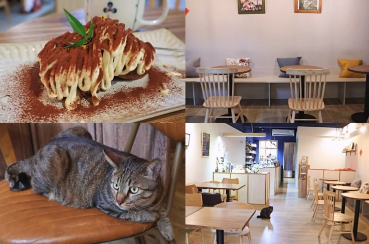 貓咪咖啡廳推薦