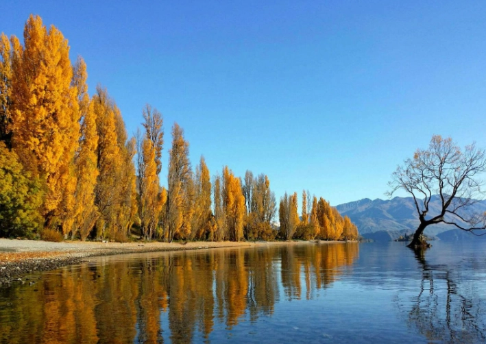 紐西蘭駕照筆試