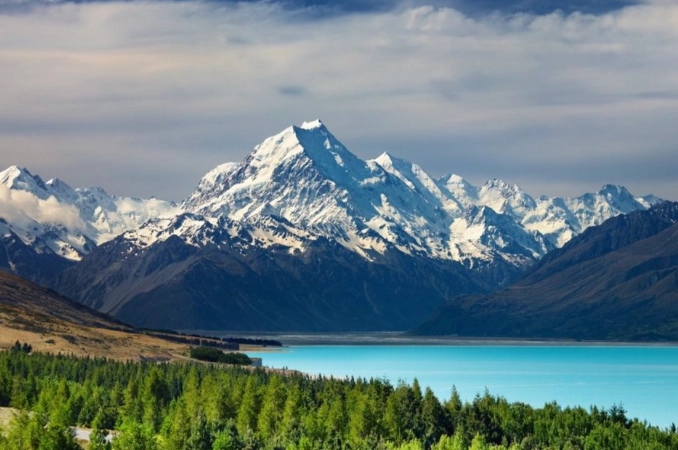 紐西蘭駕照題庫