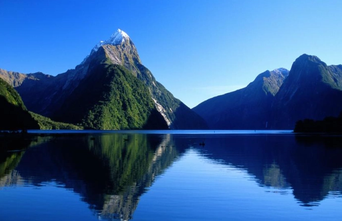 紐西蘭駕照更新