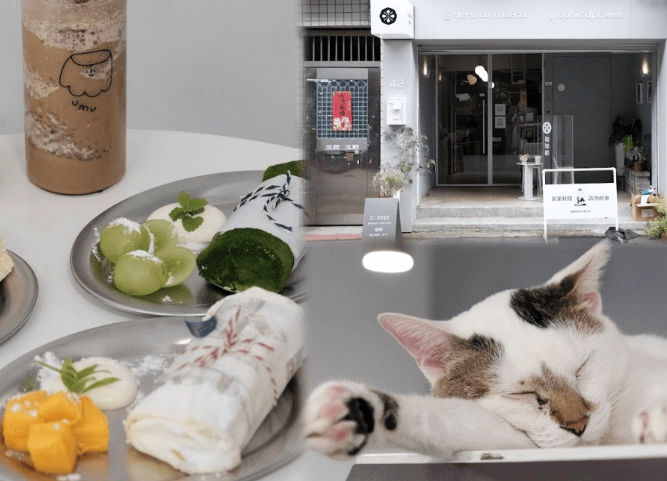 台北貓咪咖啡廳深夜營業