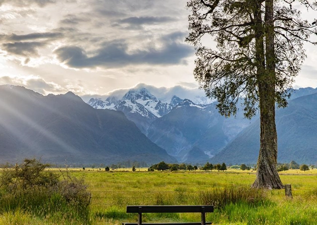紐西蘭駕照考試