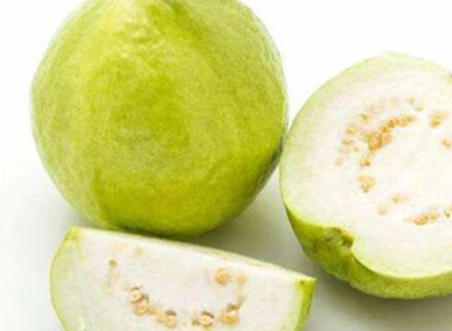 番石榴結果期管理