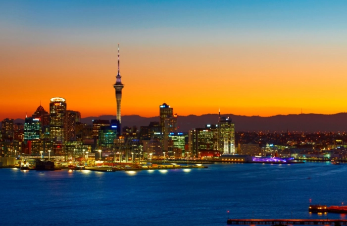 紐西蘭駕照種類