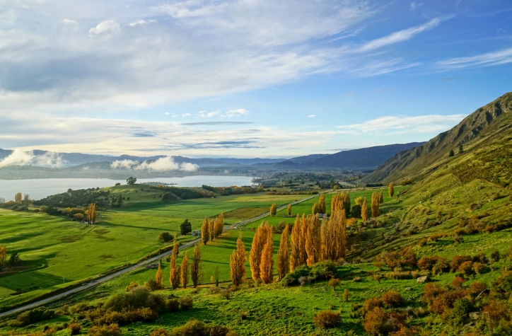紐西蘭入境限制