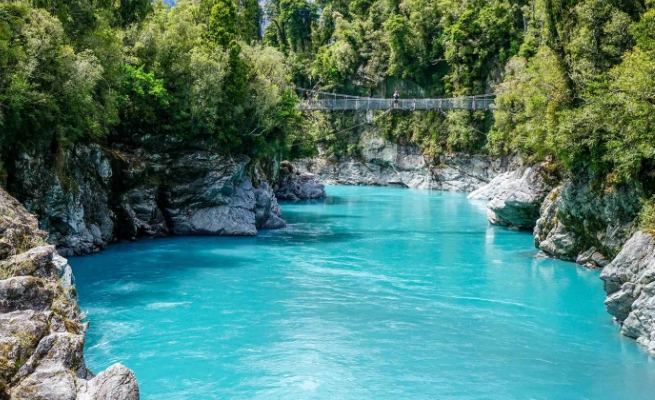 紐西蘭國際駕照