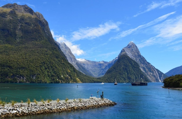 紐西蘭駕照 台灣