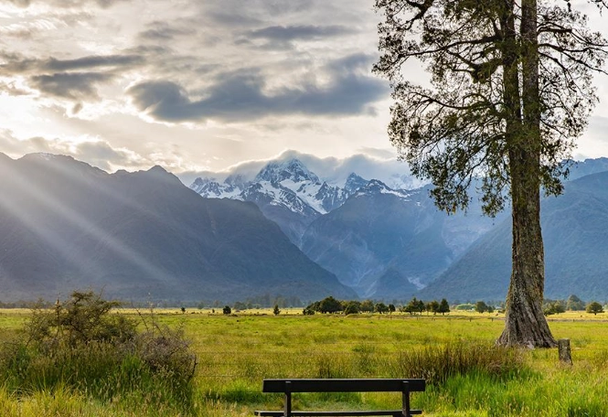 紐西蘭海關禁止物品