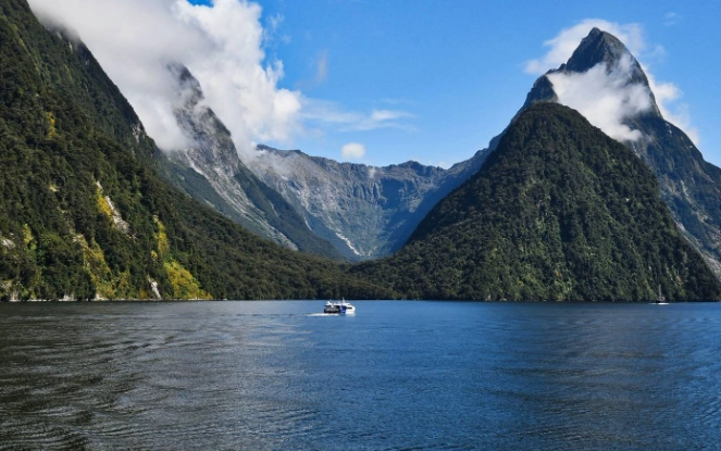 紐西蘭駕照模擬測試