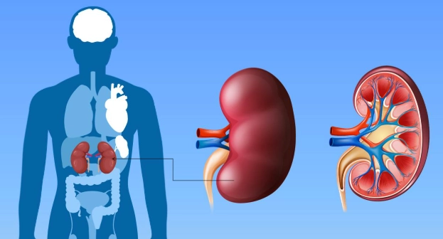 腎功能衰退症狀