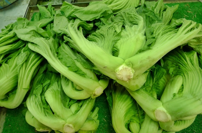 大心菜保存方法