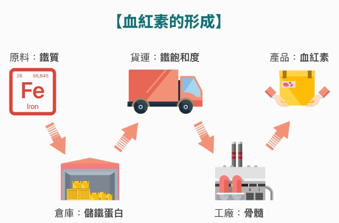 缺鐵性貧血症狀