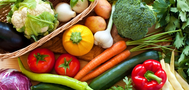 潮濕環境蔬菜種植