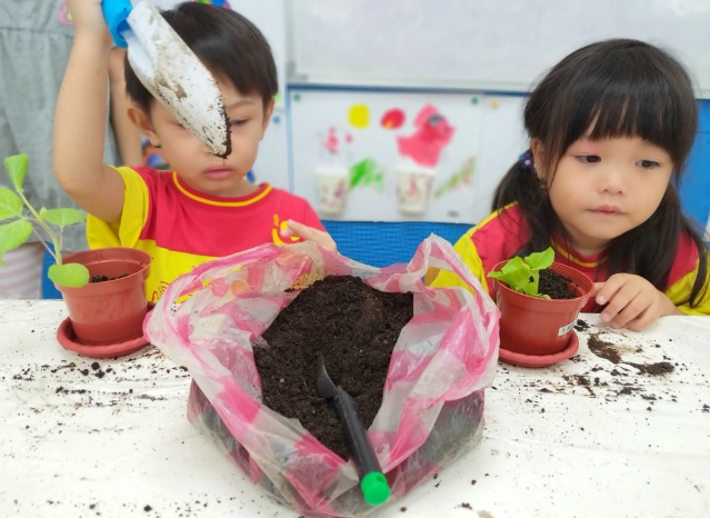 適合小孩種的菜