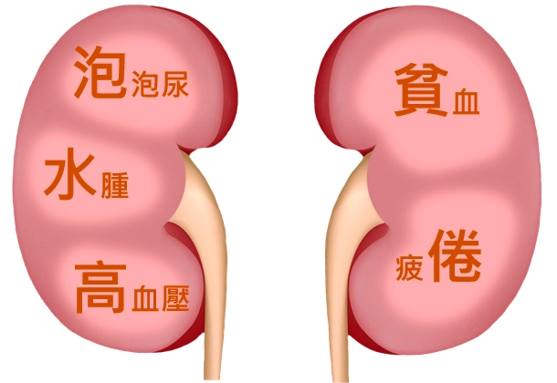 第三期腎臟病飲食