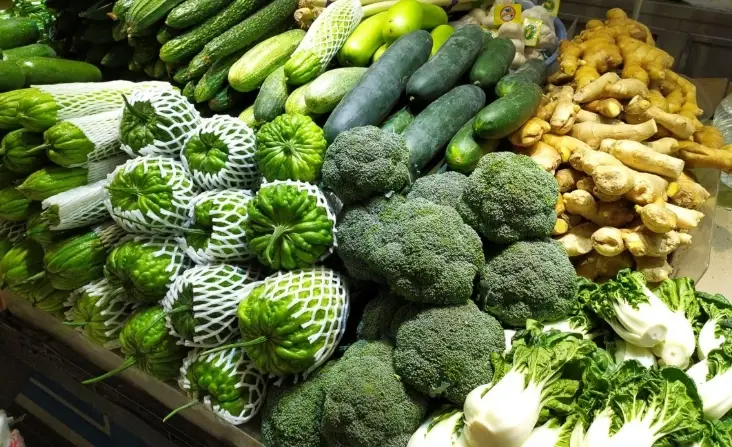 台灣潮濕氣候蔬菜