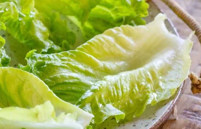 高麗菜冷藏技巧