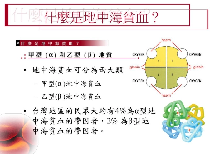 地中海貧血保健食品全攻略：營養補充關鍵與飲食管理實務