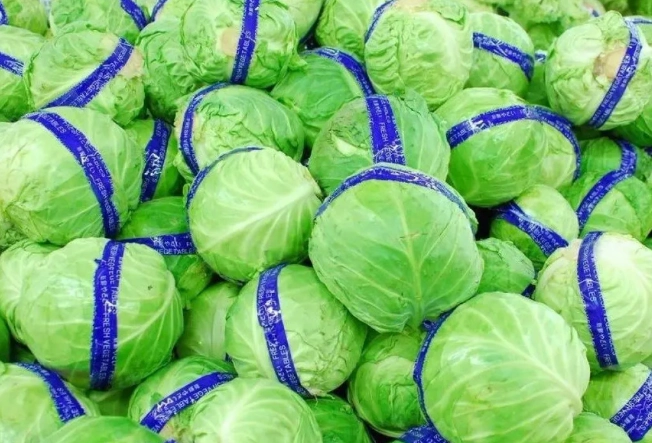 長期保存蔬菜技巧