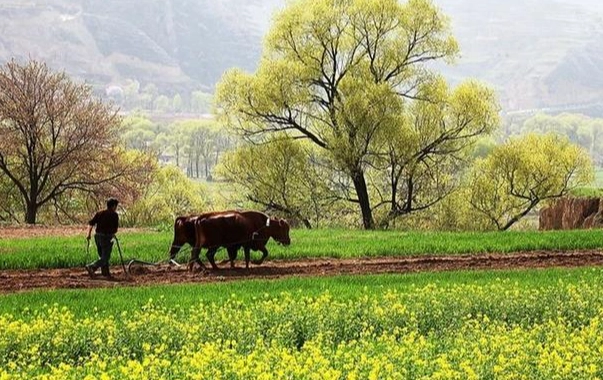 台灣農作物種植