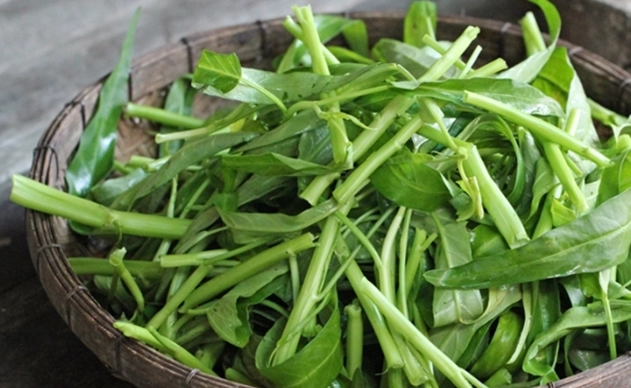 夏天種什麼菜？台灣夏季陽台菜園種植指南與品種推薦