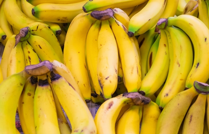 甲狀腺低下 飲食