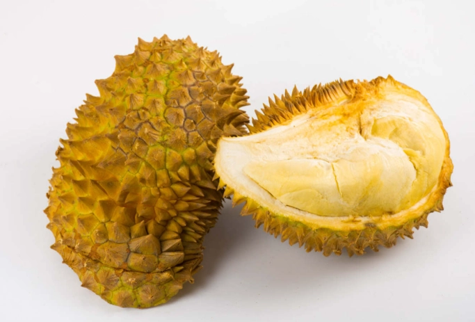 洗腎榴槤飲食安全指南：腎友享受美味不傷身的關鍵