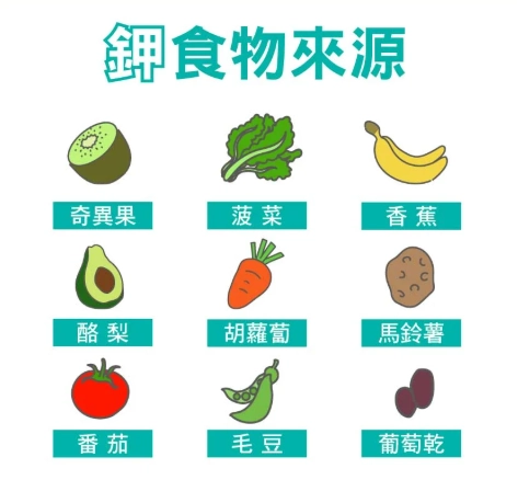 老年人飲食禁忌