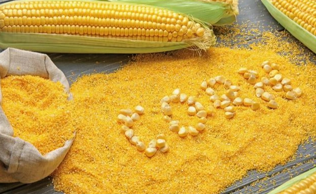 玉米粉 勾芡比例
