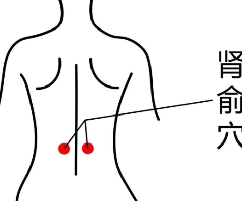 腎臟保健穴位 腎臟保健穴位