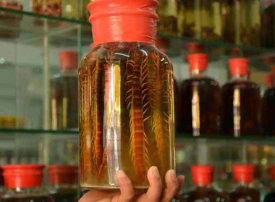 蜈蚣浸泡酒