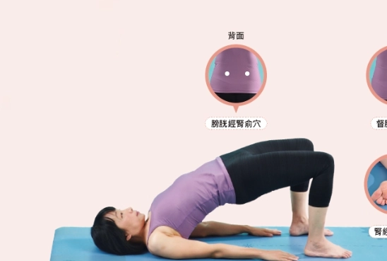 強腎運動全攻略：改善腎功能、提升活力的實用方法