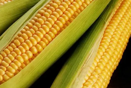 澱粉類蔬菜有哪些