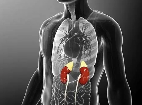 腎功能不佳飲食